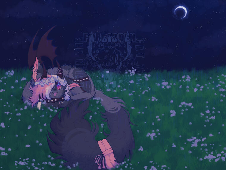 meadow meadow